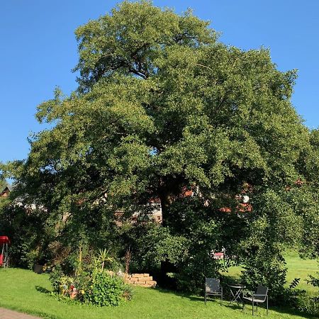 Ferienwohnung Am Rennsteig Bei Eisenach - Ilona Schmidt Wolfsburg-Unkeroda Buitenkant foto