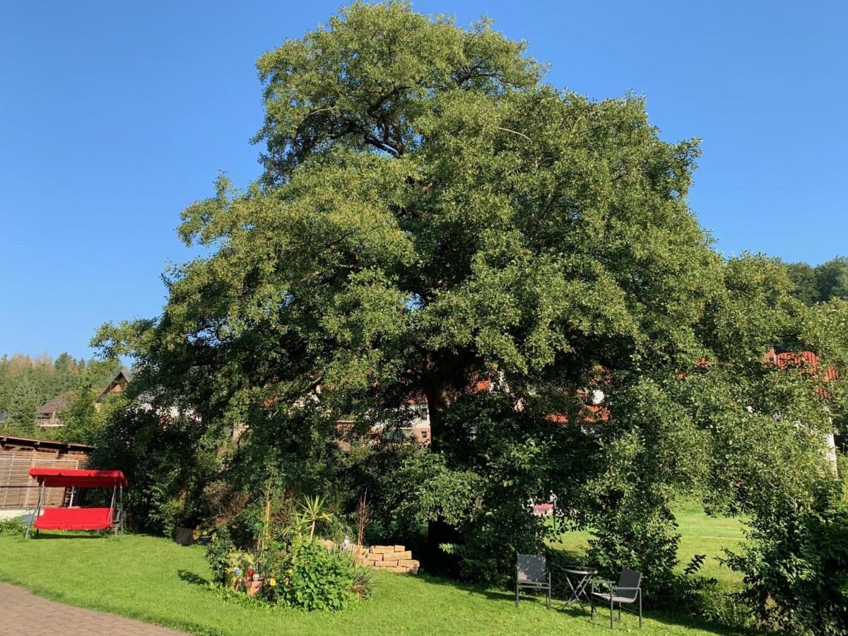 Ferienwohnung Am Rennsteig Bei Eisenach - Ilona Schmidt Wolfsburg-Unkeroda Buitenkant foto